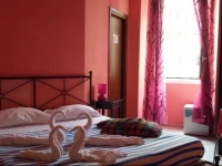 B&B In the Center You Too 