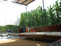 B&B La Chicca 