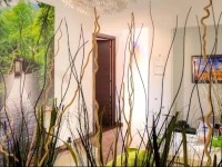 Bamboo B&B 