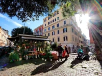 Capponi Apartment 