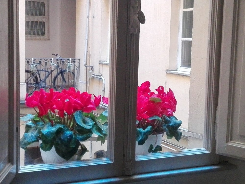 Casa Linnea Vacanze 