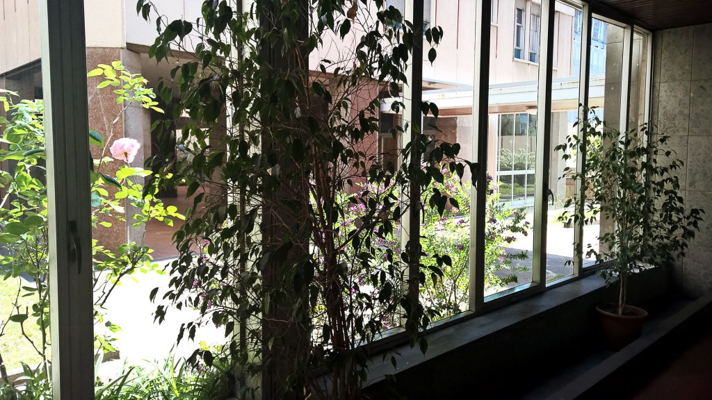 Coppola myHouse 