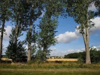 Gastehof Schild 