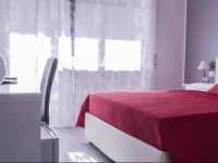Domus Raffaello 