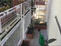 Flavias Penthouse 