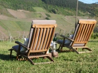 Weingut-Brennerei-Gastehaus Emil Dauns 