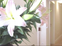 Guest House Amaranto Romano 