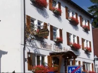 Gasthof Hotel Lowen 3*