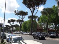 Il Segno in Rome 