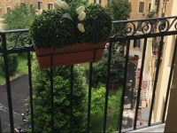 Incantesimo Vaticano 