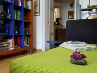 La casa sullalbero 