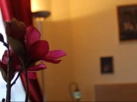 Lupa Rome Guest House 