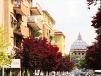 Marco Polo Vatican 