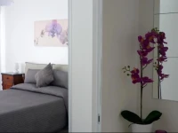 Monteleone Suite Apartment 