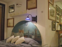 MuseHome B&Bio 