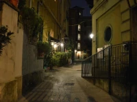 Nel Cortile Segreto 
