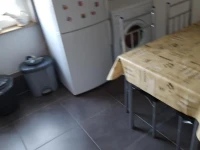 Zimmer Muller 