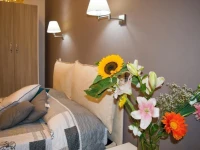 Roema Guest House 