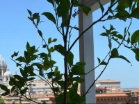 RSH Vatican Apartments - Rome City Centre 