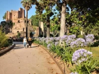 Ulysses in Rome 
