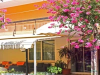 Hotel Ribot 