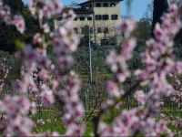 Agriturismo Il Frassine 