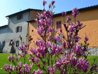 Agriturismo La Querce 