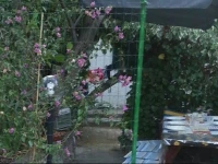 Roby Home 