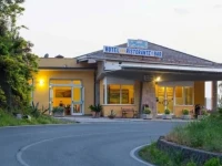 Hotel Due Gemelli 