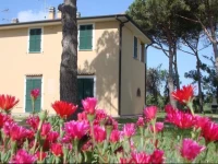 Appartamenti a Vignarca - LocalitГ  Perelli 