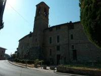 La terrazza fio...Rita 