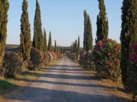 Fattoria La Steccaia 