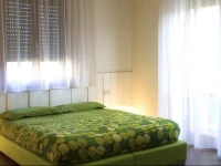 B&B Geco 