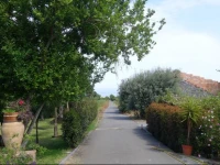 Tenuta Pennisi 