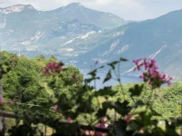 B&B Posta Pregasina 