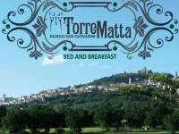 TorreMatta 