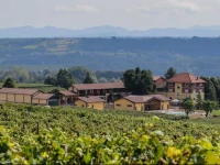 Tenuta Montebello Societa Agricola 