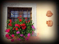 Agriturismo Borgovecchio 