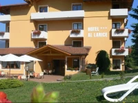 Hotel & Appartamenti Al Larice 