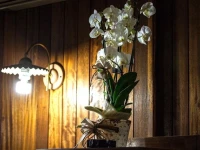 Al Massimo Country House 