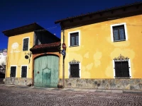 La Curandera 