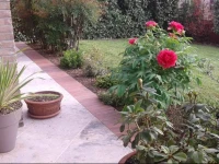 Carpe Diem Bed&Breakfast 