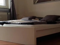 Ferienwohnung im Herzen von Bremen 