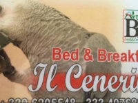 B&B Il Cenerino 