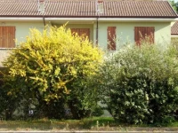 Two-Bedroom Apartment Rosolina Mare near Sea 30 