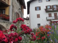 Appartamenti Rumo 