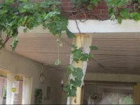 Vakantiewoning-Bij-Grens 