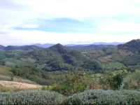 Case Crovina 