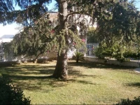 B&B Il Cedro 
