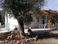 Casa BarzГІ 